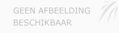 Afbeelding › 't Logootje